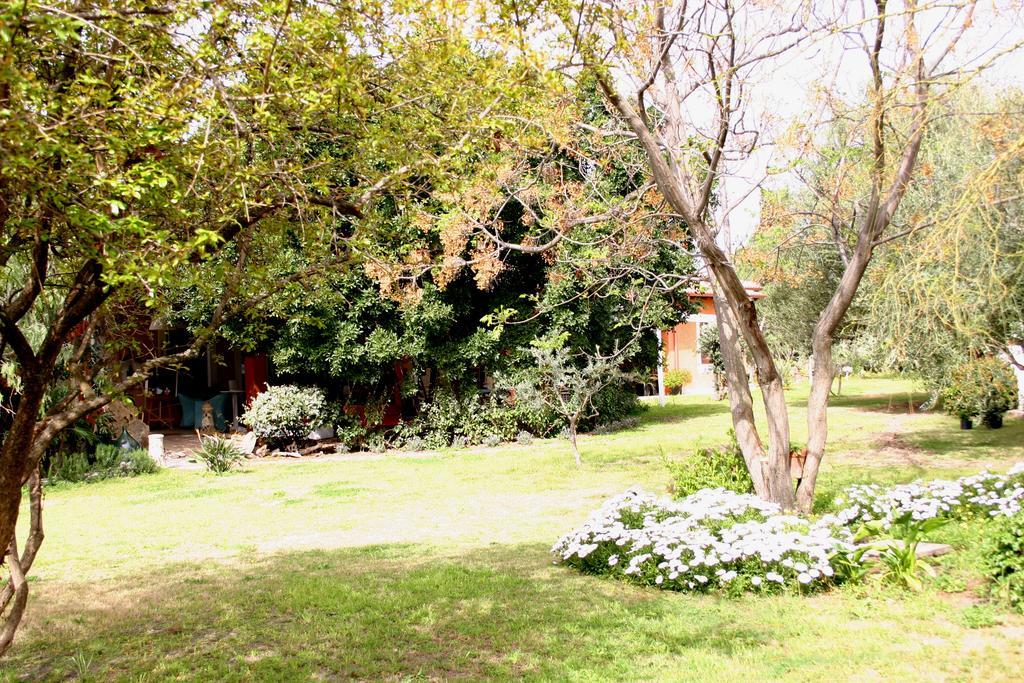 Pedra De Mari Hotel พูลา ภายนอก รูปภาพ